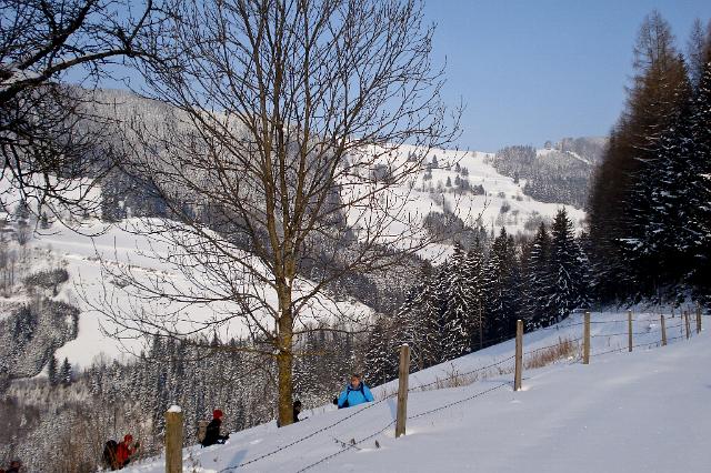 04 Blick zur Abfahrtsstrecke.JPG